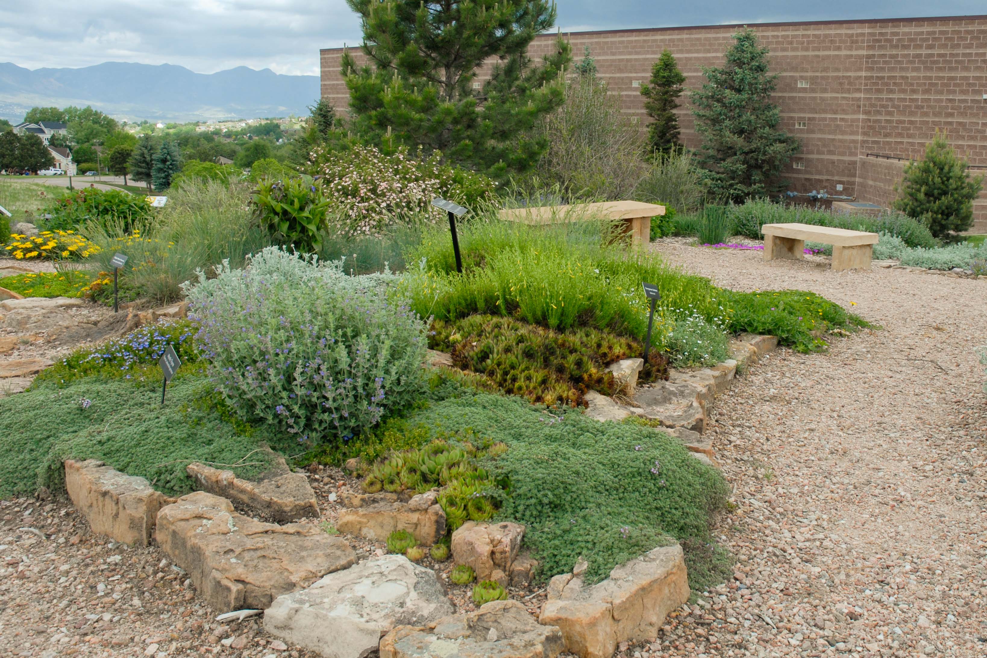 Cottonwood Creek Garden
